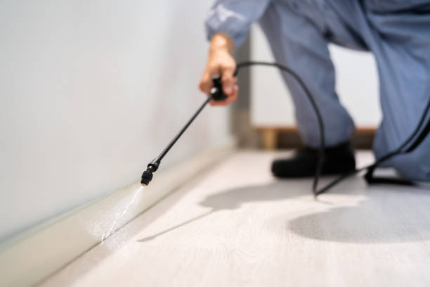 Licensed Mosquito Control service in Davison, MI - Show Me Pest Control