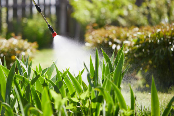 24/7 Emergency Mosquito Control experts in Davison, MI