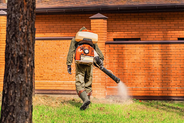 Top rated local Mosquito Control specialists in Davison, MI